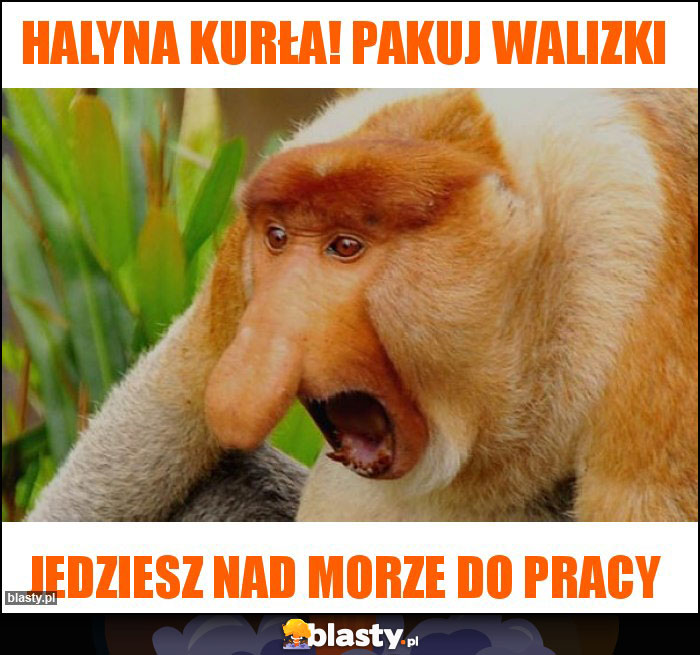 Halyna kurła! pakuj walizki