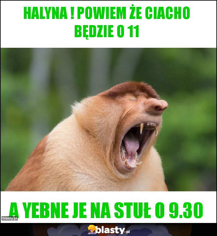 Halyna ! powiem że ciacho będzie o 11