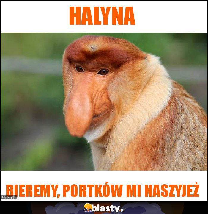 HALYNA