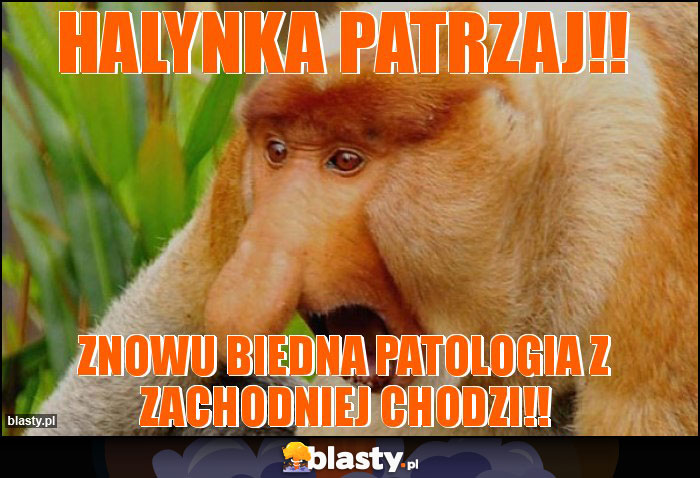 Halynka patrzaj!!