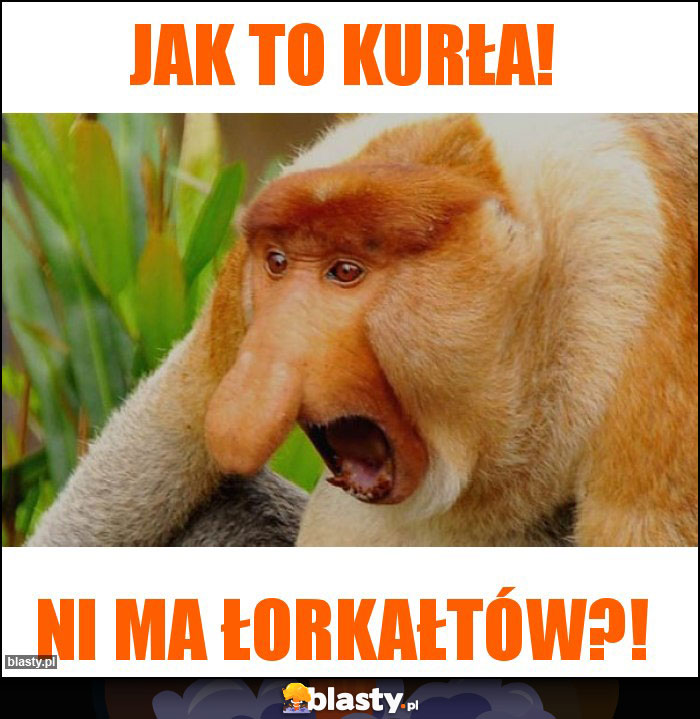 Jak to kurła!