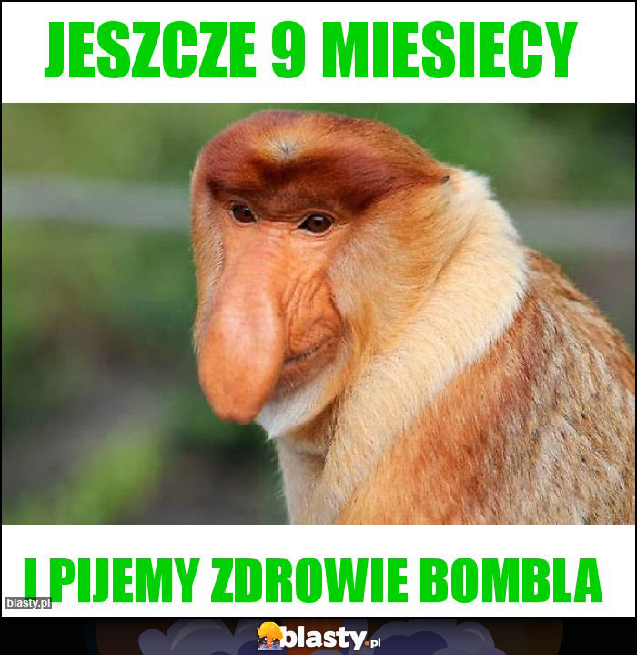 Jeszcze 9 miesiecy