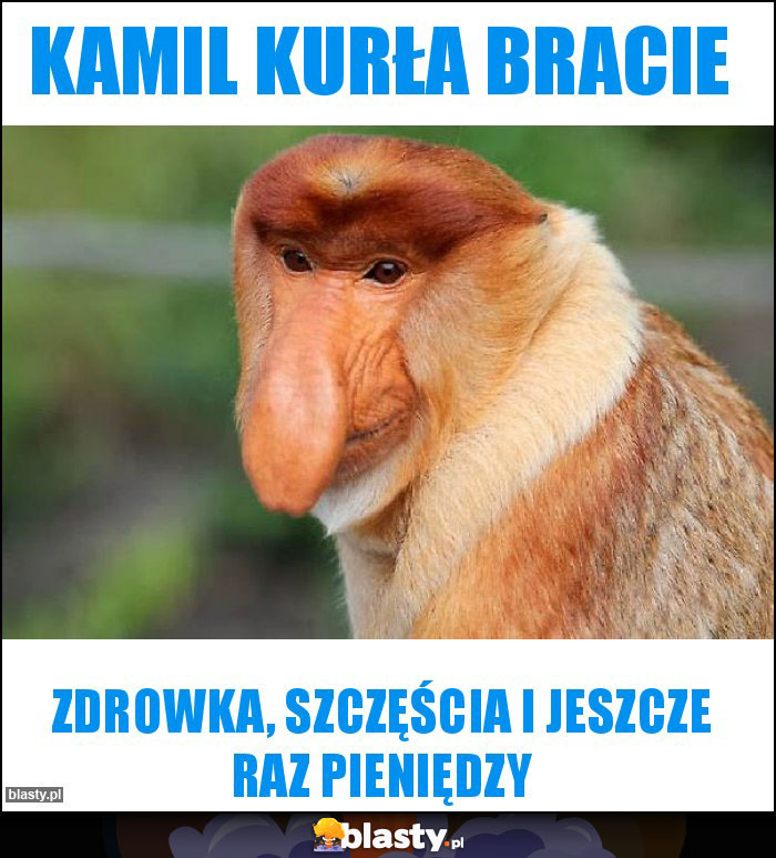 Kamil kurła bracie