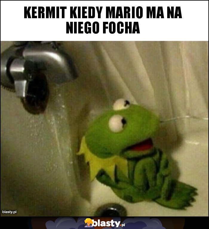 Kermit kiedy mario ma na niego focha