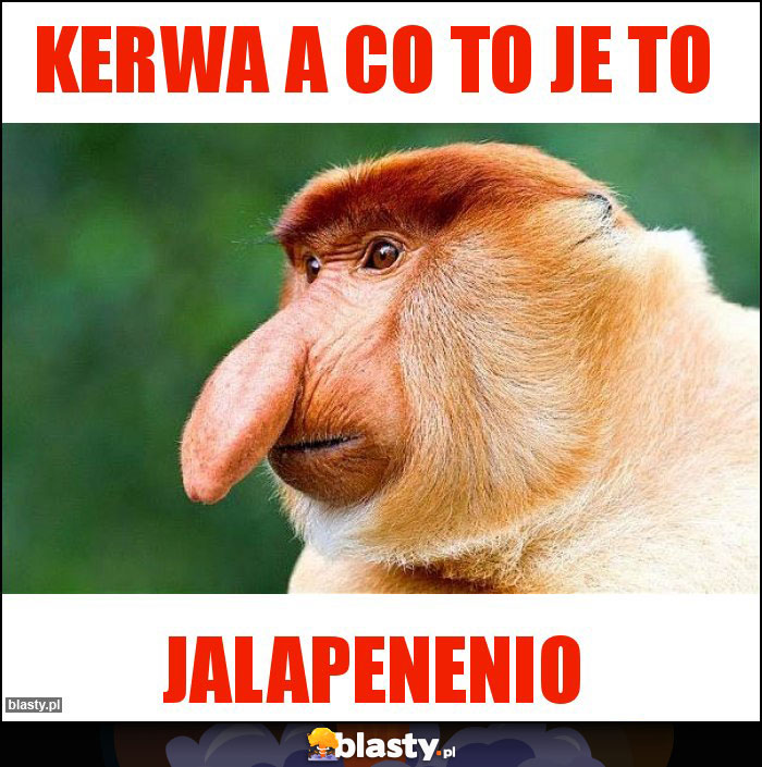 kerwa a co to je to