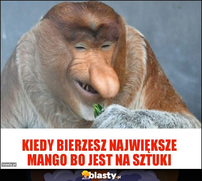 Kiedy bierzesz największe mango bo jest na sztuki