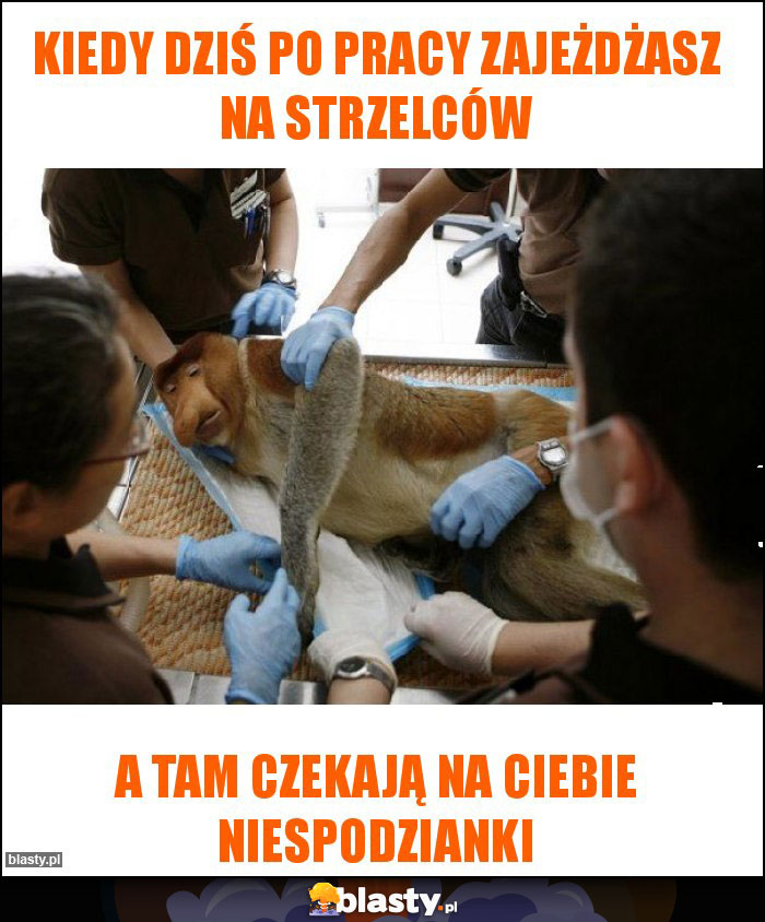 Kiedy Dziś po pracy zajeżdżasz na strzelców