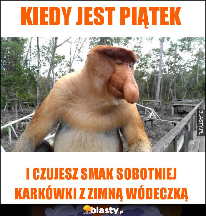 kiedy jest piątek