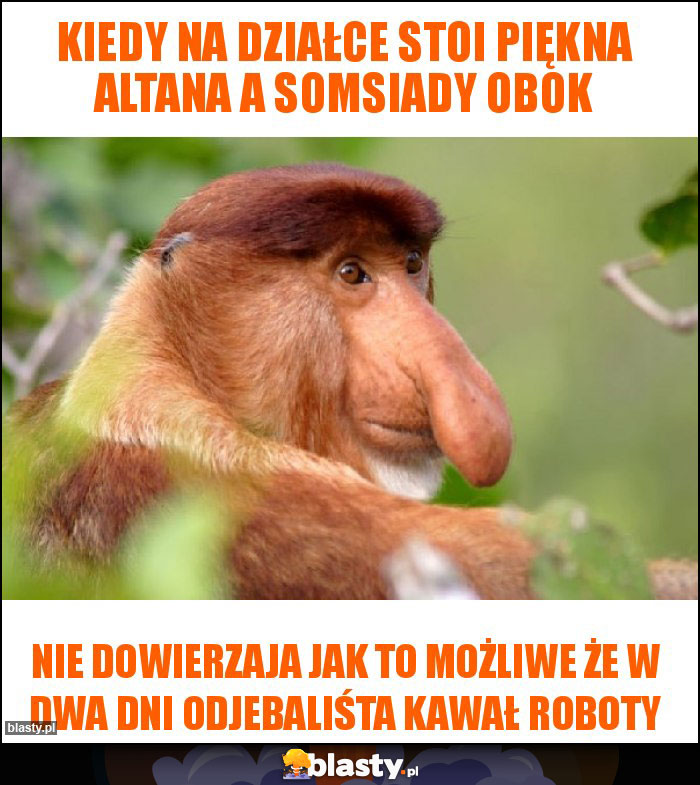 Kiedy na działce stoi piękna altana a somsiady obok