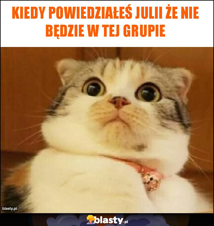 Kiedy powiedziałeś Julii że nie będzie w tej grupie