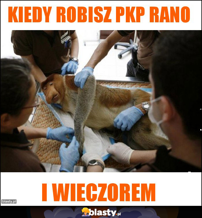 Kiedy robisz pkp rano