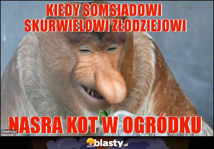 kiedy somsiadowi  skurwielowi złodziejowi