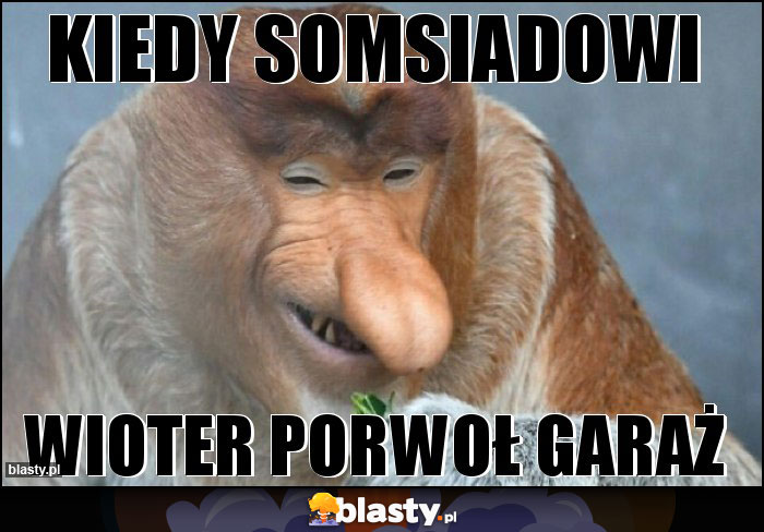 Kiedy somsiadowi