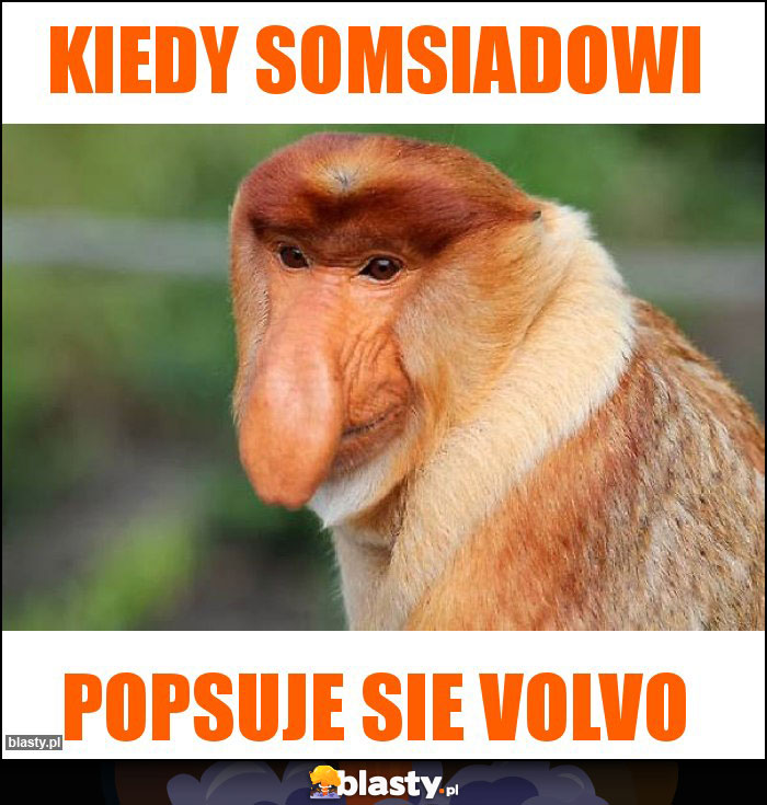 Kiedy somsiadowi