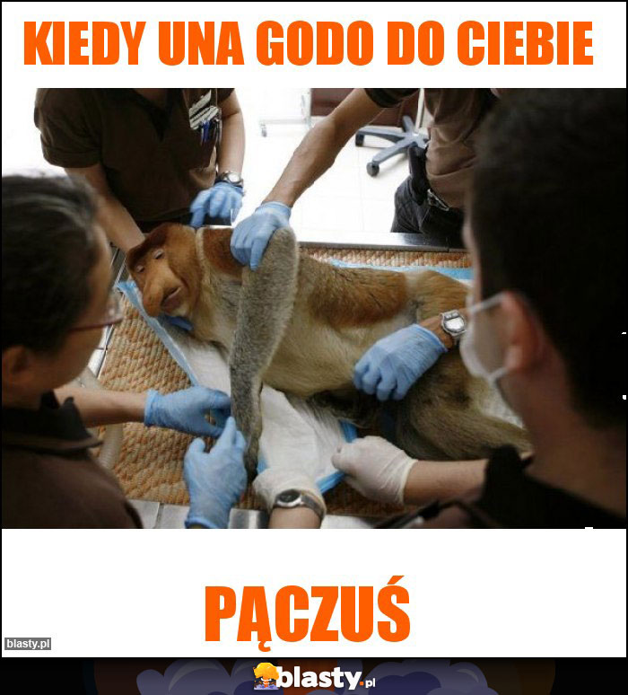 Kiedy una godo do ciebie