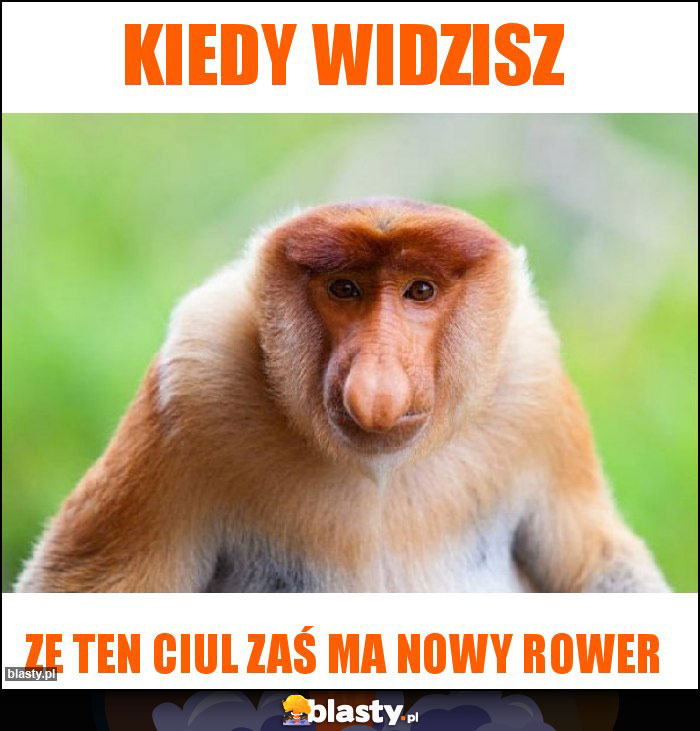 Kiedy widzisz