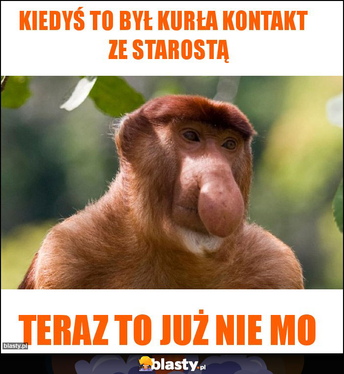 Kiedyś to był kurła kontakt    ze starostą