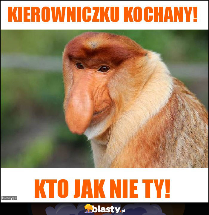 KIEROWNICZKU KOCHANY!