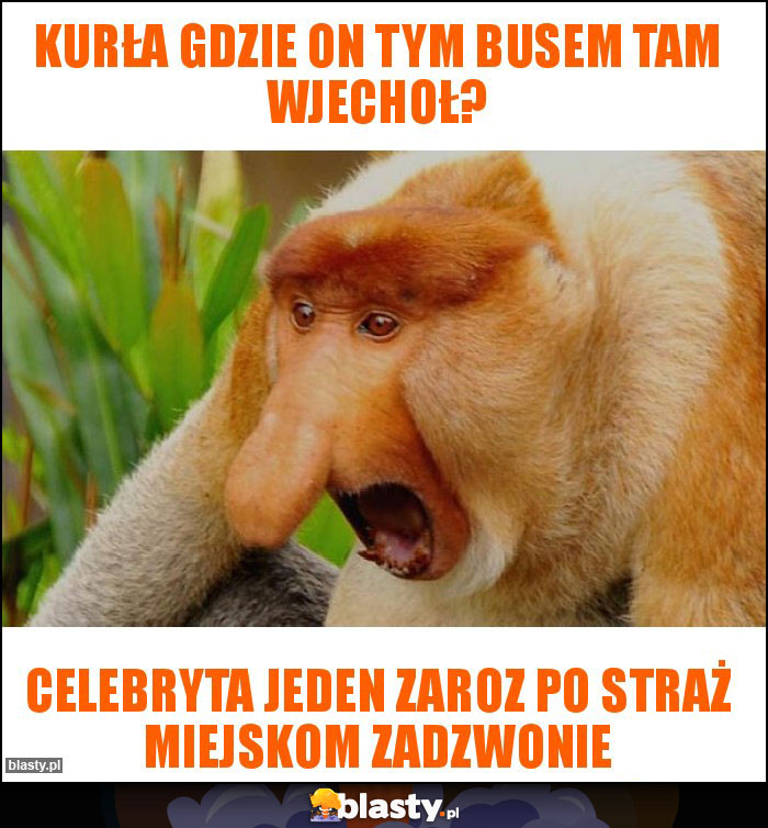 Kurła gdzie on tym busem tam wjechoł?