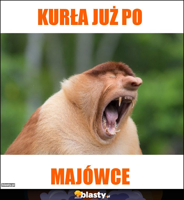 Kurła już po