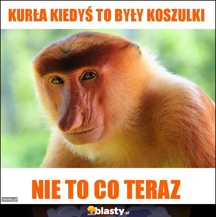 kurła kiedyś to były koszulki