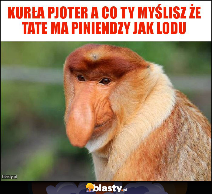 Kurła pjoter a co ty myślisz że Tate ma piniendzy jak lodu