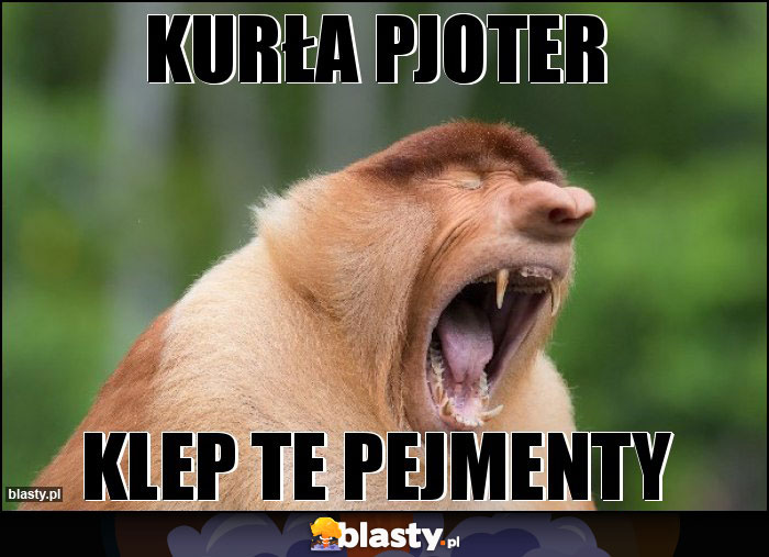 KURŁA PJOTER