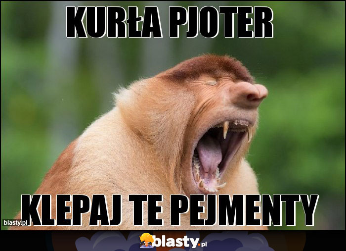 Kurła Pjoter