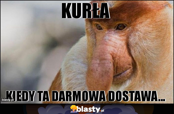 KURła