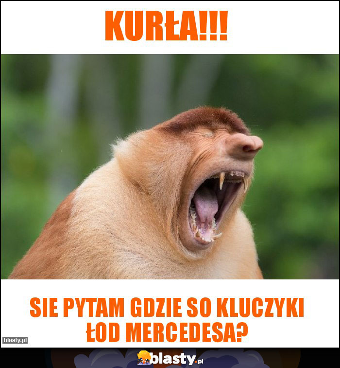 KURŁA!!!