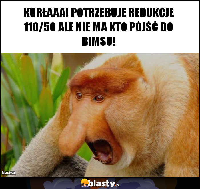 Kurłaaa! Potrzebuje redukcje 110/50 ale nie ma kto pójść do bimsu!