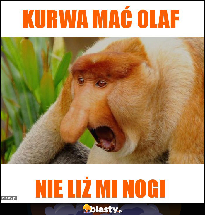 Kurwa mać Olaf