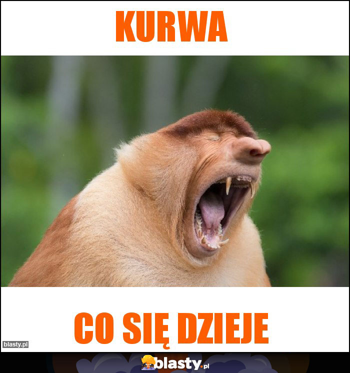 Kurwa