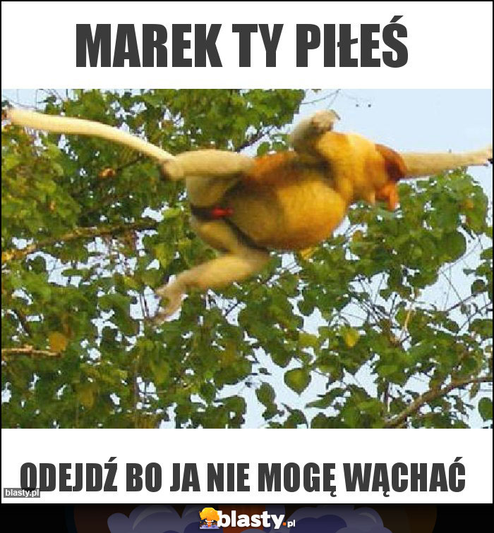 Marek Ty piłeś