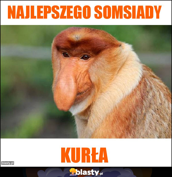 Najlepszego Somsiady