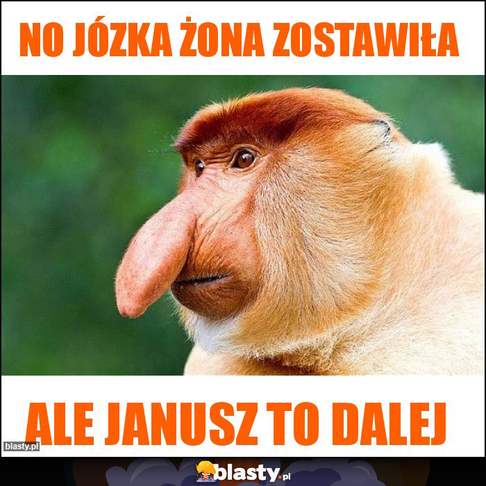 NO Józka żona zostawiła