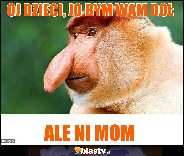 oj dzieci, Jo bym wam doł