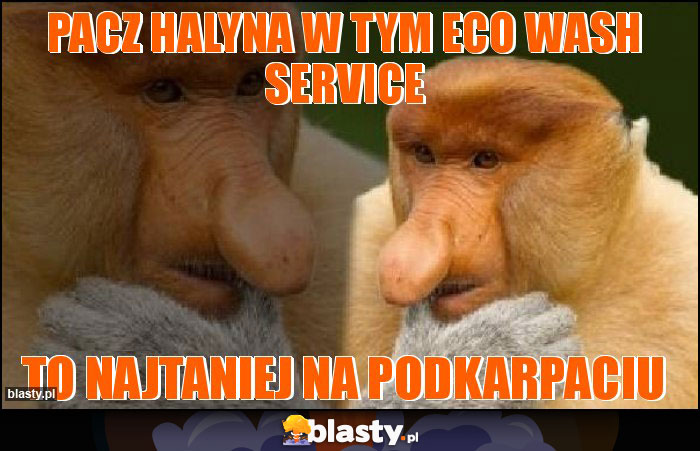 Pacz Halyna w tym Eco Wash service