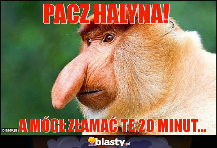 Pacz Halyna!