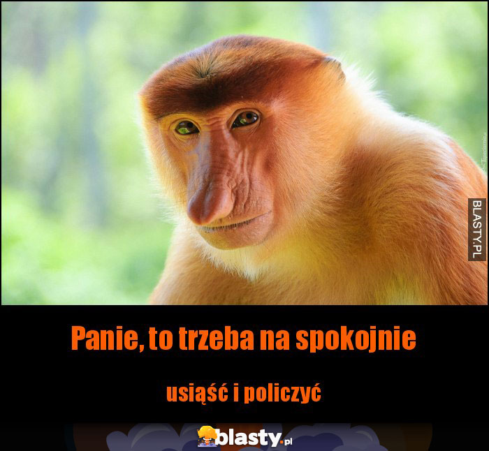 Panie, to trzeba na spokojnie