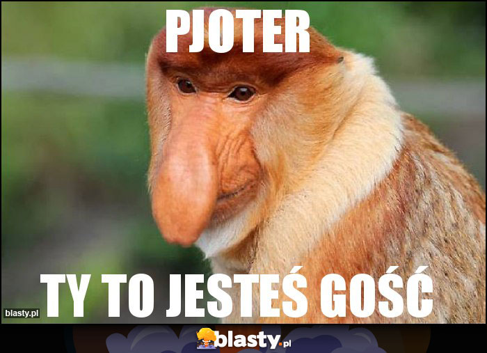 Pjoter