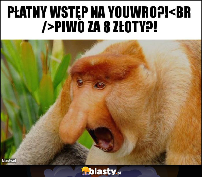 Płatny wstęp na YouWro?!
Piwo za 8 złoty?!