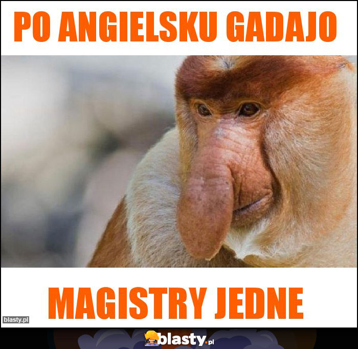 Po angielsku gadajo