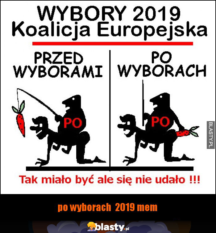 po wyborach  2019 mem