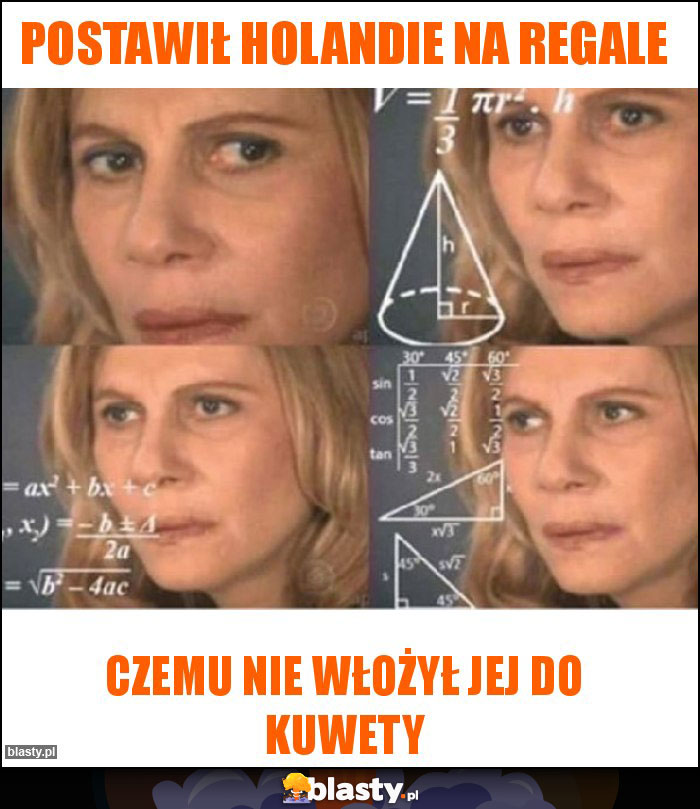 postawił holandie na regale