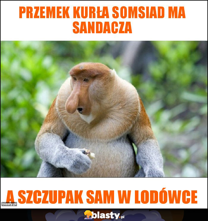 Przemek Kurła somsiad ma sandacza