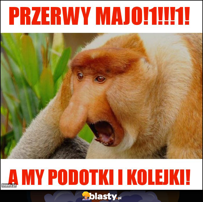 Przerwy majo!1!!!1!