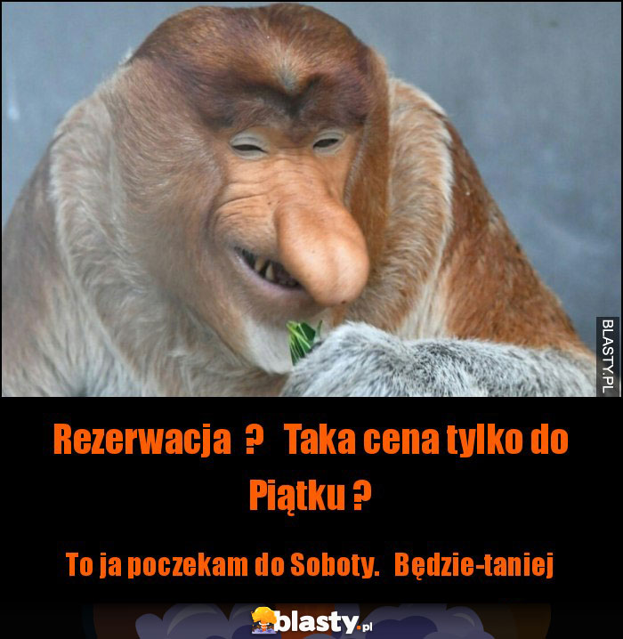 Rezerwacja  ?   Taka cena tylko do Piątku ?