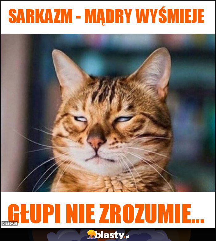 Sarkazm - Mądry wyśmieje