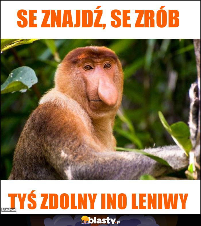 Se znajdź, se zrób